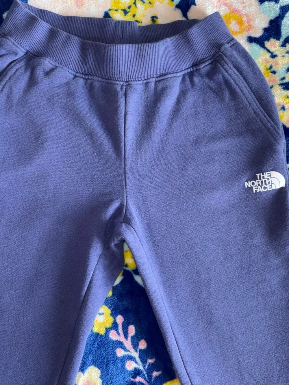 The North Face Kids Cove Blue/Purple  Jogger Sweatpants | Size: Girls 7/8